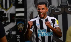 İngiltere'de Lascelles için Beşiktaş iddiası