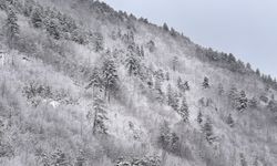 Kastamonu kara teslim oldu