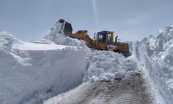 Kastamonu'da 19 köy yolu kardan kapandı