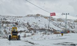 Malatya'da 129 mahalle yolu kar nedeniyle kapandı