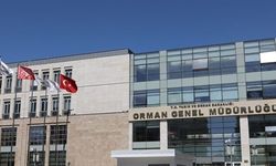 Orman Genel Müdürlüğünün döner sermayesi 1 milyar liraya yükseltildi