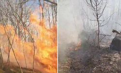 Sakarya'da ormanda yangın