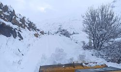 Batman Sason'da 7 köy ile 23 mezra yolu, kardan kapandı