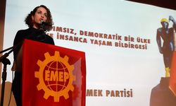 EMEP İstanbul İl Başkanı gözaltına alındı