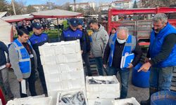 Ankara Sincan Semt Pazarı'nda balık satan esnaf denetlendi