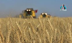 Artan enflasyon ve dolar kurundaki artış çiftçileri olumsuz etkiliyor: Ciddi bir gıda kriziyle karşı karşıya kalabiliriz