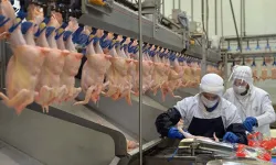 Tavuk eti üretimi martta aylık yüzde 1,6, yıllık yüzde 2,7 arttı