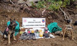 Giresun'da terör örgütü tarafından kullanılan sığınak bulundu