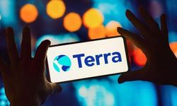 "Terra Luna" geliştiricisi Terraform Labs, ABD'de iflas başvurusu yaptı