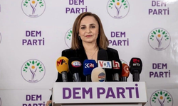 Ayşegül Doğan kimdir? Dem Parti Sözcüsü kimdir?