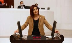 Emine Gülizar Emecan kimdir?