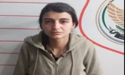 MİT: Türkiye'ye sızmaya çalışan PKK'lı terörist yakalandı