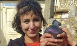 Gazeteci Mehmet Kızmaz'ın kız kardeşi Rojvelat ölü bulundu