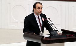 Alparslan Türkeş'in oğlu Kutalmış Türkeş'ten MHP yöneticilerine tepki