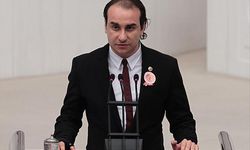Alparslan Türkeş'in oğlu Kutalmış Türkeş, MHP'ye: Siz babalarınızı aramaya devam edin