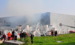 Manisa'da kağıt fabrikasının bahçesinde yangın