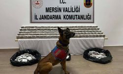 Mersin'de 61 bin 700 kaçak makaron ele geçirildi: 3 gözaltı