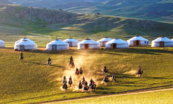 Moğolistan'da 4,7 milyondan fazla hayvan öldü
