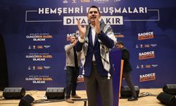Murat Kurum, Diyarbakırlılar buluşmasında Kürtçe konuşup halay çekti