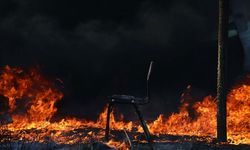 Şili'de çıkan orman yangınlarında 19 kişi hayatını kaybetti