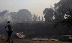 Şili'de devam eden orman yangınlarında yaşamını yitirenlerin sayısı 64'e çıktı