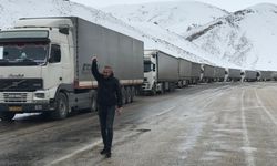 Türkiye- İran sınırında TIR kuyruğu 15 kilometreye ulaştı