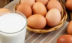 TÜİK: Tavuk eti ve süt üretimi arttı, yumurta üretimi azaldı