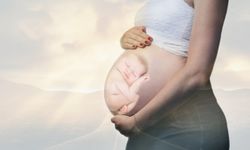 ABD'de embriyoların çocuk sayılması sonrasında tüp bebek çalışmaları durdu