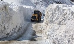 Van'da çığın düştüğü mezra yolu kapandı