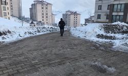 Yüksekova'da 4.3 büyüklüğünde deprem