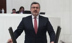 Ali Özkaya kimdir?