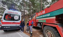 Antalya'da ormanlık alanda çıkan yangın kontrol altına alındı