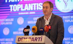 DEM Parti'den Şırnak, Bitlis ve Kars açıklaması