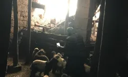 Bitlis Güroymak'ta ağıl çöktü 20 hayvan telef oldu