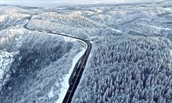 Bolu Dağı'nda sağanak yağış ve sis görüş mesafesini düşürdü