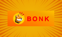 Bonk coin yükselmeye devam eder mi? Bonk coin sahibi kim?