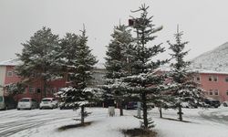 Doğu Anadolu Bölgesi karla kaplandı