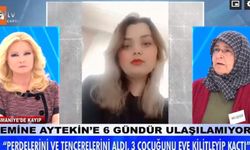 Emine Aytekin kimdir?