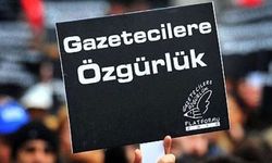 Dicle Fırat Gazeteciler Derneği’nin şubat ayı raporu: 42 gazeteci tutuklu