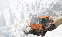 Van ve Hakkari'de beklenen kar erimesine karşı uyarı