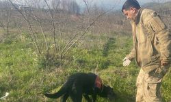 İz takip köpeği 'Voltaj', kaybolan engelliyi ormanda buldu