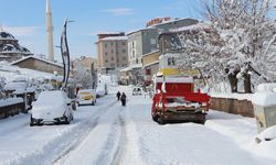 Bingöl’de 30 köy yolu kardan kapandı
