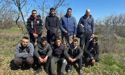 Edirne'de, Mısır uyruklu 9 kaçak göçmen ve 1 organizatör yakalandı