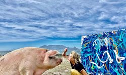 Ressam domuz Pigcasso hayatını kaybetti