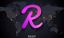 Reef coin yükselmeye devam eder mi? Reef coin sahibi kim?