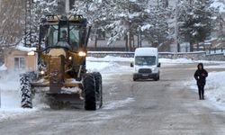 Sarıkamış'ta kar kütleleri kamyonlarla ilçe dışına taşınıyor