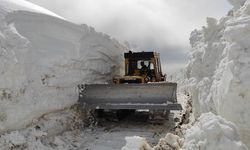 Şırnak'ta kar kalınlığının 3 metreyi aştığı Faraşin Yaylası'nda yol açma çalışmaları sürüyor