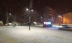 Sivas Suşehri'nde kar yağışı etkili oldu