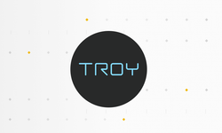 Troy coin yükselmeye devam eder mi? Troy coin sahibi kim?
