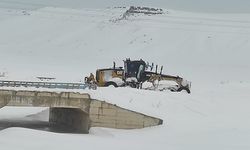 Van'da 145 yerleşim yerinin yolu kardan kapandı